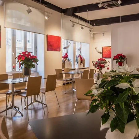 Ciarus * ستراسبورغ