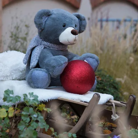 Ciarus ستراسبورغ