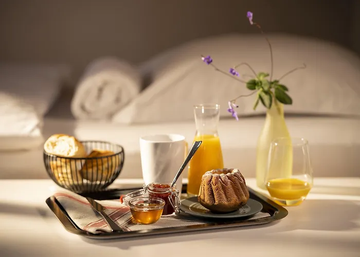 Vandrerhjem Ciarus Strasbourg